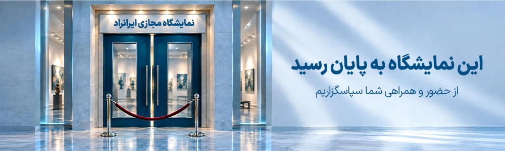 خیابان های برزیل /  داروین بوونتورا